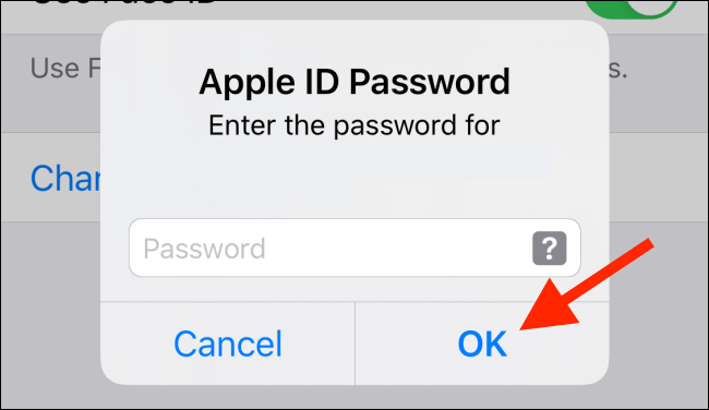 Enter your Apple ID password on iPhone and tap on OK