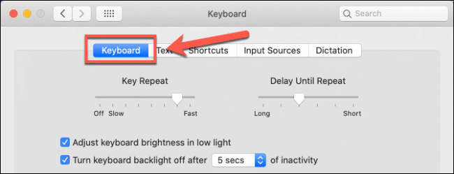 The Keyboard tab in the Keyboard options in macOS System Preferences