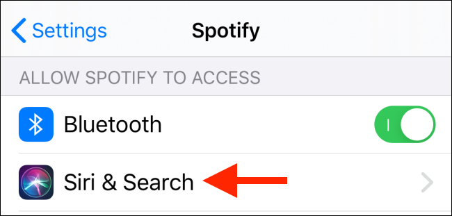 Tap on Siri and Search from Spotify section