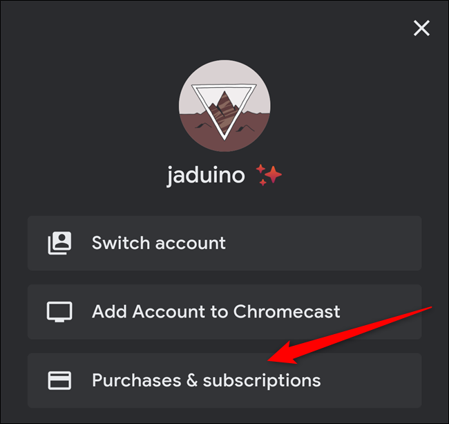 Click the "Purchases & Subscriptions" button