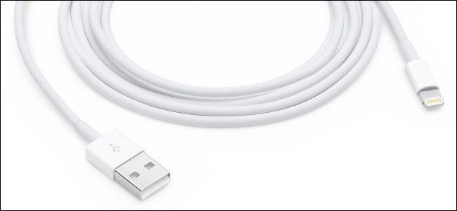 An Apple Lightning to USB cable
