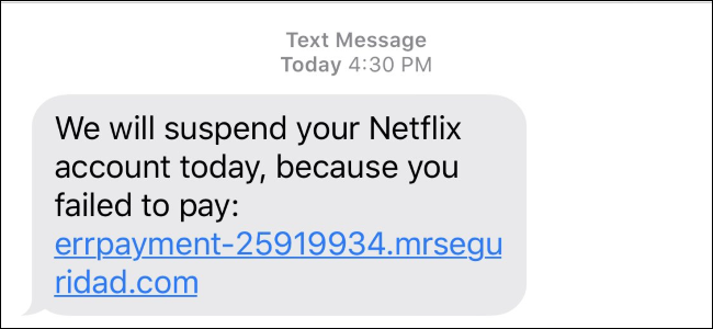 A Netflix scam text message