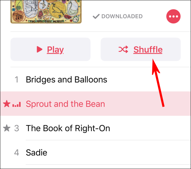 Turning on Shuffle in Music app using the Shuffle button