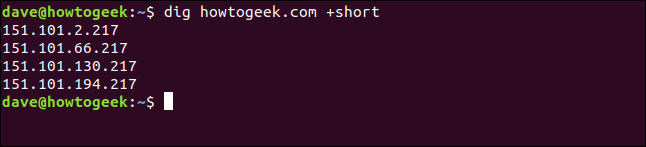 How to Use the dig Command on Linux