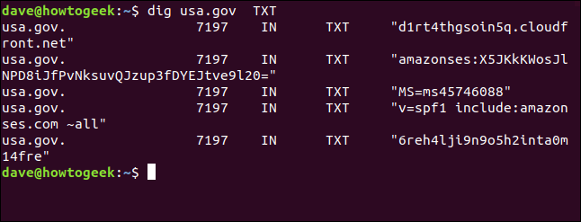 dig usa.gov TXT in a terminal window