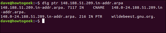 dig ptr 148.188.51.209.in-addr.arpa in a terminal window