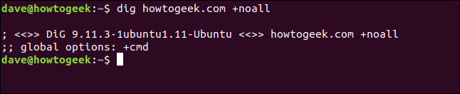 dig howtogeek.com +noall in a terminal window