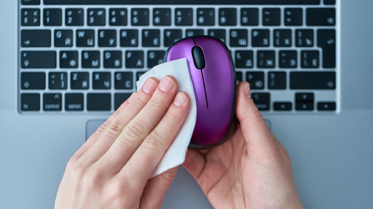 A hand wiping a mouse with a wipe.