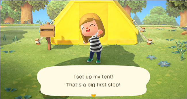 Animal Crossing New Horizons First Day
