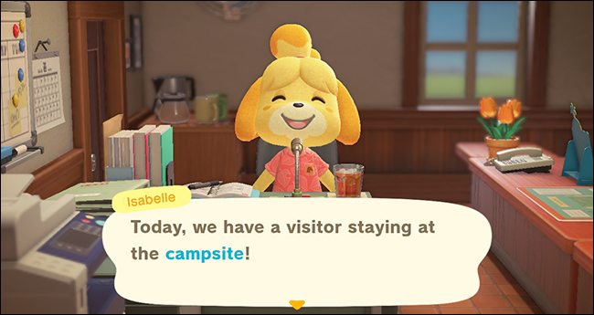 Animal Crossing New Horizons camp site isabelle