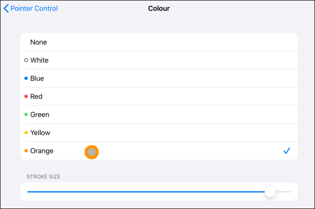 Color and stroke option for cursor on iPad