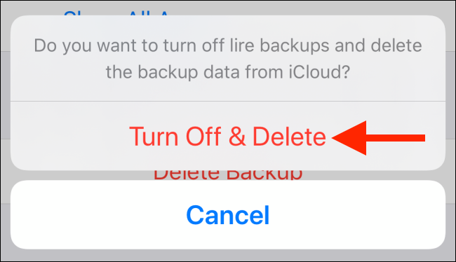 Tap on Turn off and Delete to delete the app backup in iCloud