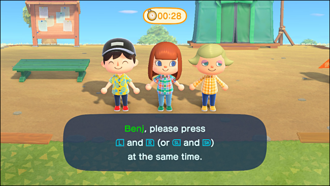 Assigning Controllers for Party Play in Animal Crossing: New Horizons