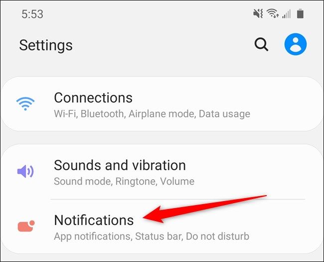 Samsung Galaxy S20 Select the Notifications Options