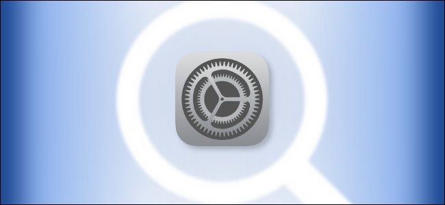 iOS and iPadOS Settings Logo