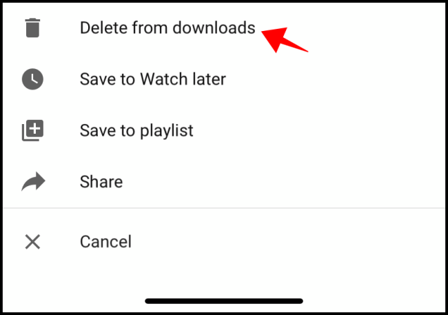 YouTube Delete From Downloads