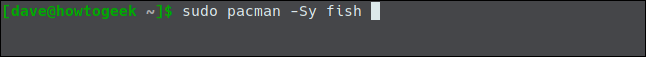 sudo pacman -Sy fish in a terminal window.