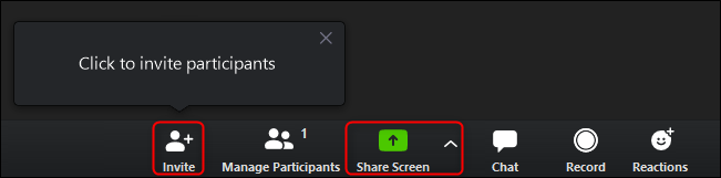 Zoom Invite and Share Screen Buttons