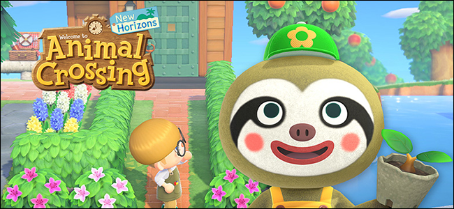 Animal Crossing New Horizons Nature Day Event