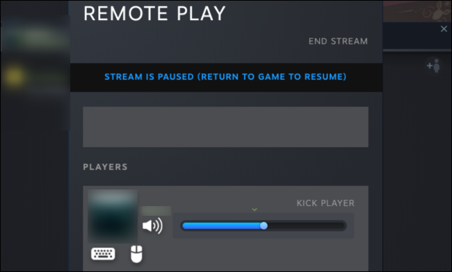 Steam Remote Play Together Manager