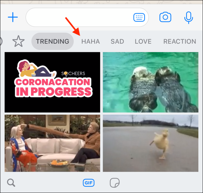 Switch to different GIF collections