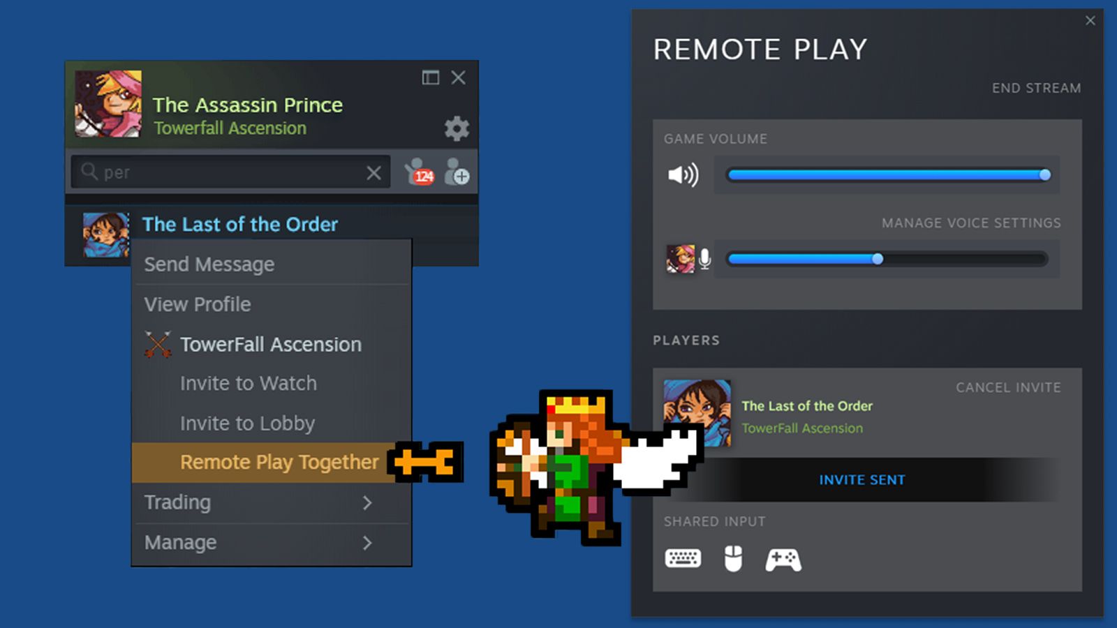 Steam Remote Play Together In-Action