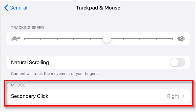 In Trackpad and Mouse Settings, Tap Secondary Click on iPad