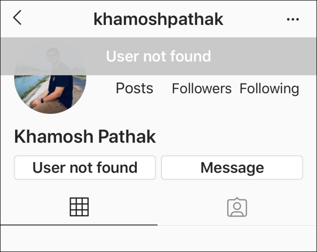 No details on profile page for Instagram profile that has blocked you