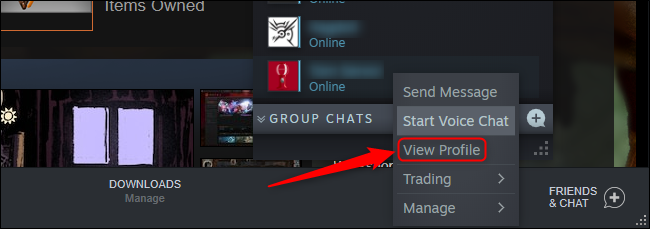Steam View Profile