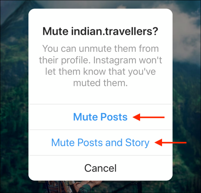 Tap on Mute Posts or Mute Posts and Story