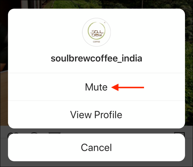 Tap on Mute from stories menu