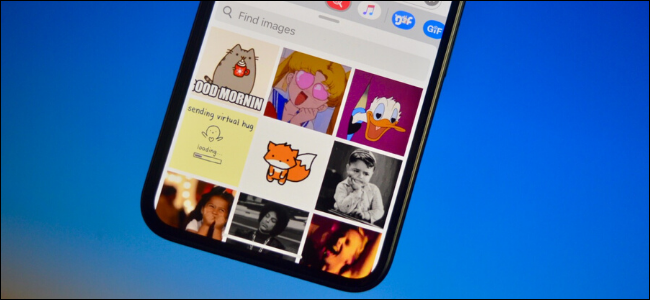 User using iMessage GIF app as a GIPHY alternative