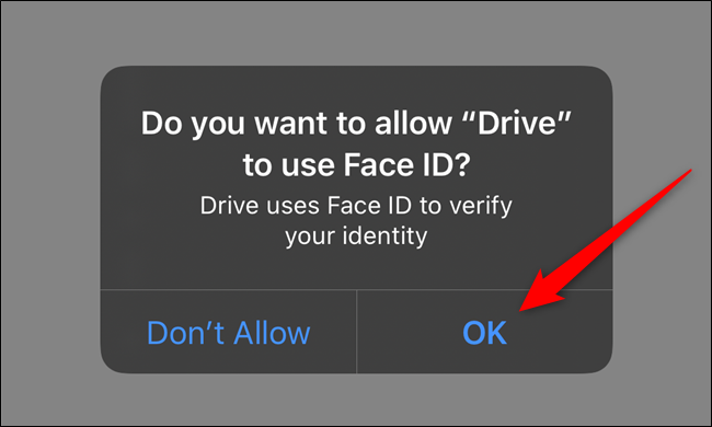 Give Google Drive permission to access Face ID or Touch ID