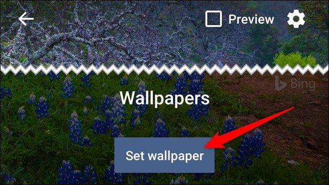 Preview the current wallpaper and then select the "Set Wallpaper" button.