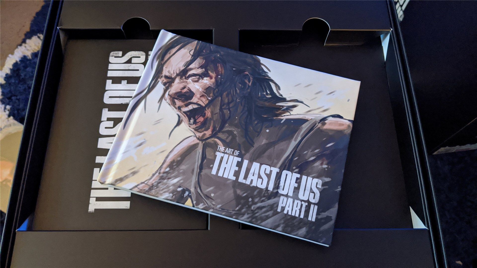 The Last of Us Part II Collector's Edition mini art book