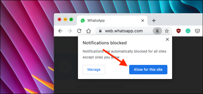Allow notifications for WhatsApp Web