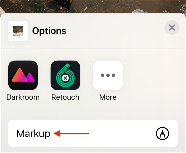 How to Magnify a Part of a Photo on iPhone and iPad