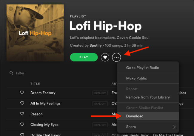 How to Download Music from Spotify for Offline Playback