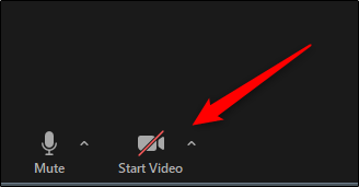 Start video button on Zoom call