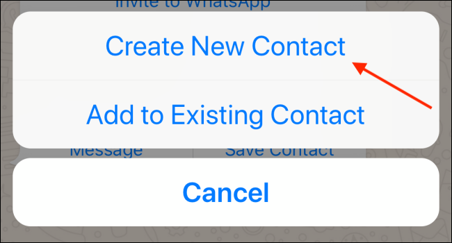 Tap Create New Contact in WhatsApp on iPhone