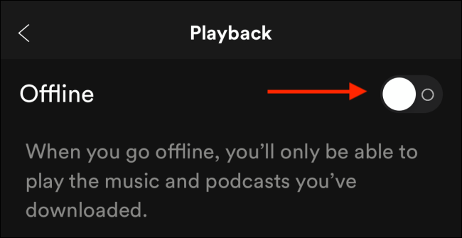 How to Download Music from Spotify for Offline Playback