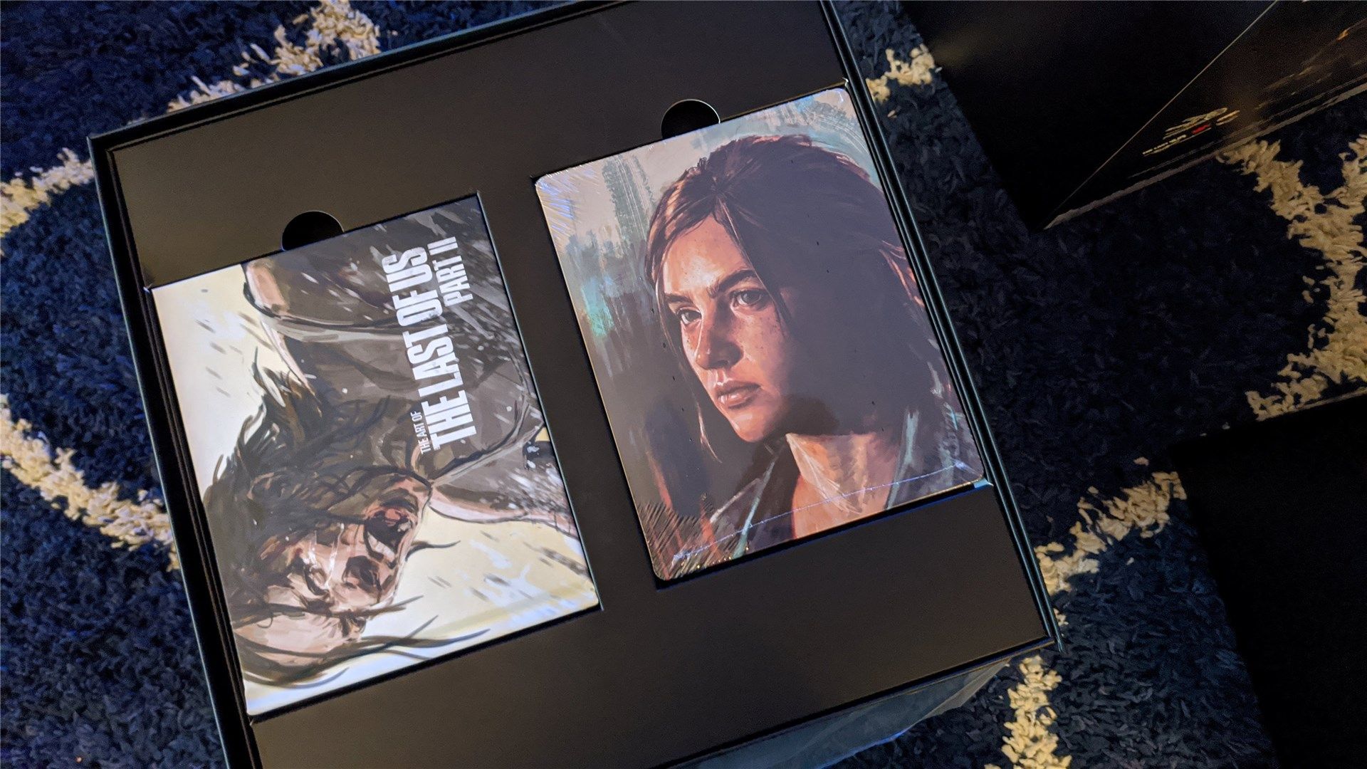The Last of Us Part II Collector's Edition mini art book and SteelCase