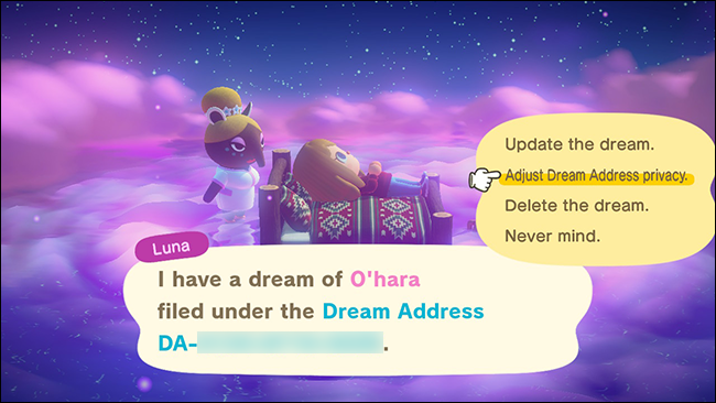 Animal Crossing New Horizons adjust dream address privacy