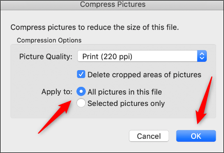 Compress picture options for Mac