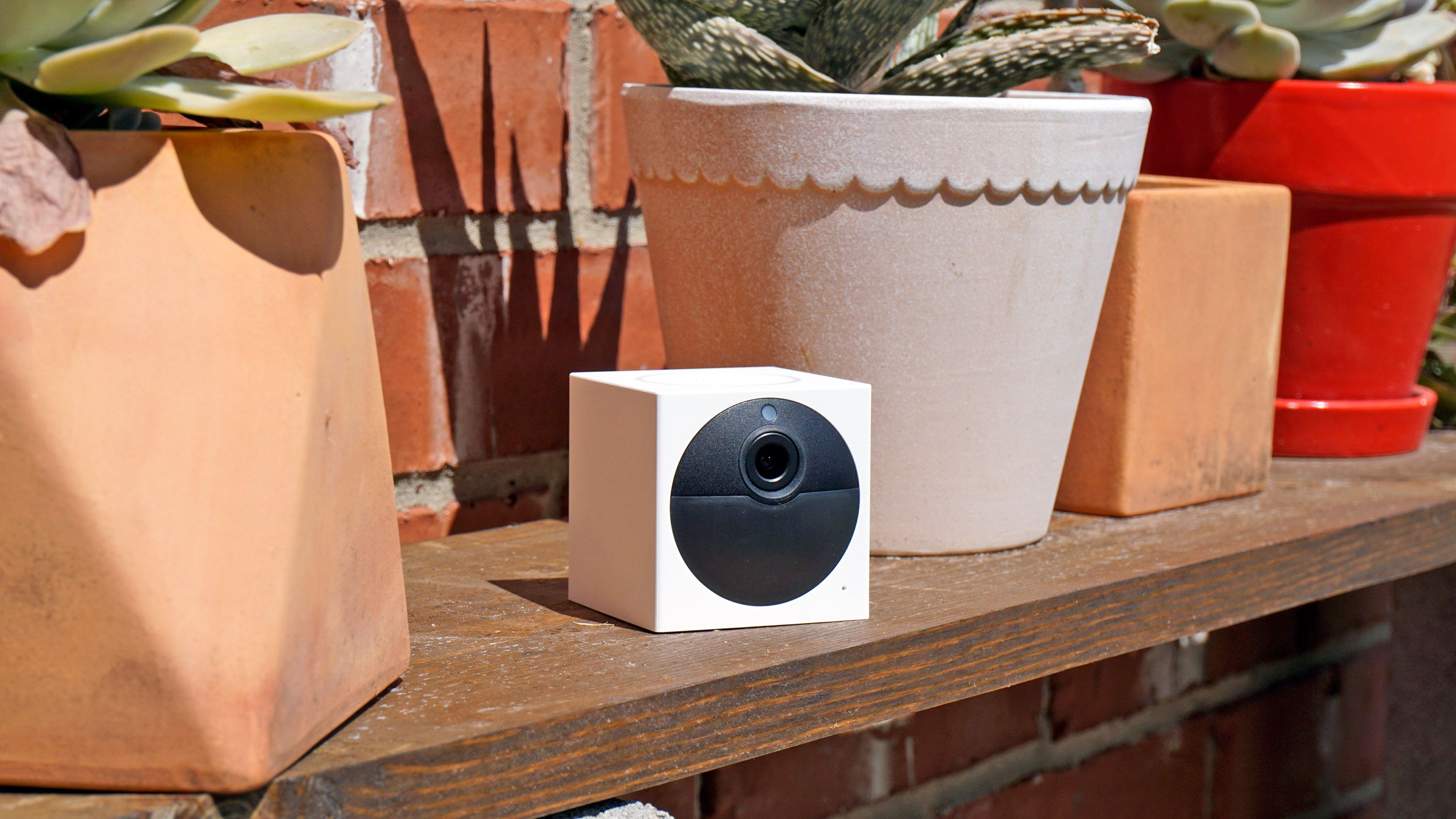 Wyze Cam Outdoor on a shelf with potted plants
