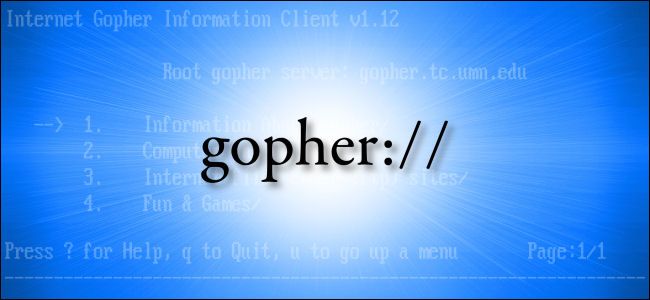 Gopher Protocol Hero