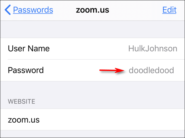 Your website password revealed in Settings on iPhone