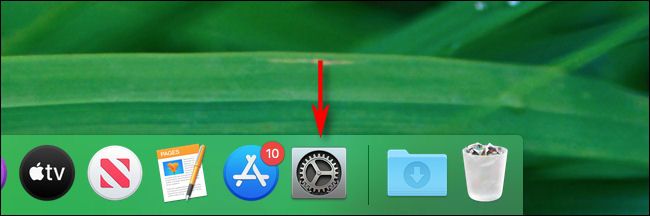 Launch System Preferences on a Mac by clicking its icon in the Dock.