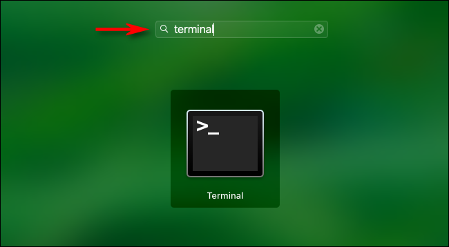How to Open the Terminal on a Mac