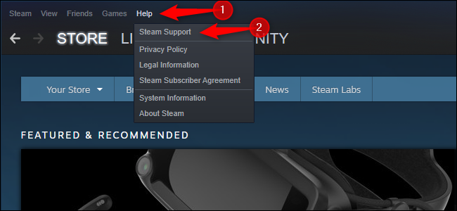 Opening Steam support.